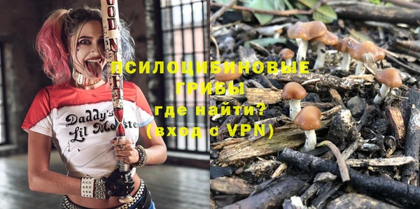 apvp Новодвинск