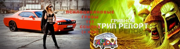 прущий лед Новокубанск